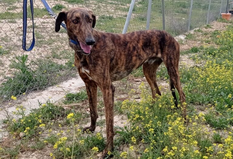 Lire la suite à propos de l’article BARU (M) / Abyda