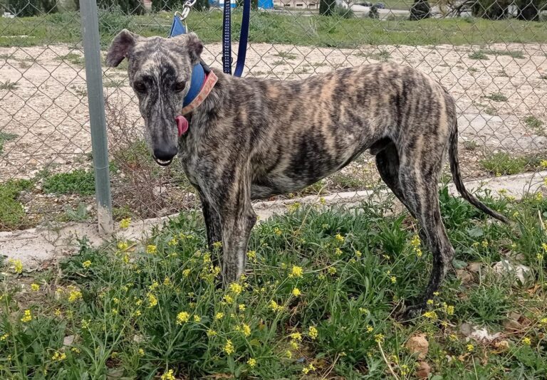 Lire la suite à propos de l’article KALEB (M) / Abyda