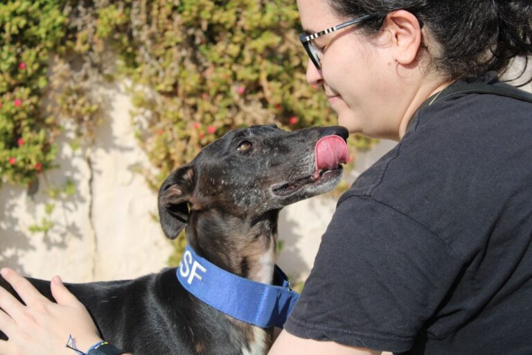 Lire la suite à propos de l’article Ophelia (F) FBM