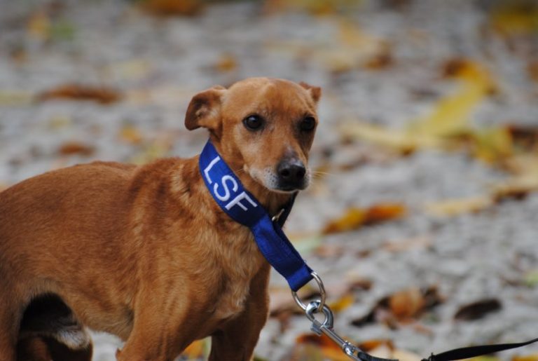 Lire la suite à propos de l’article Roberto ( M) Pod / Ecija