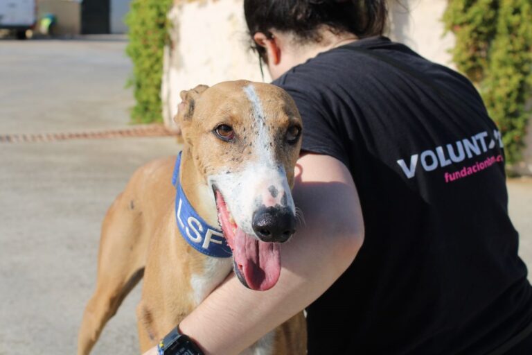 Lire la suite à propos de l’article Perla (F) / FBM