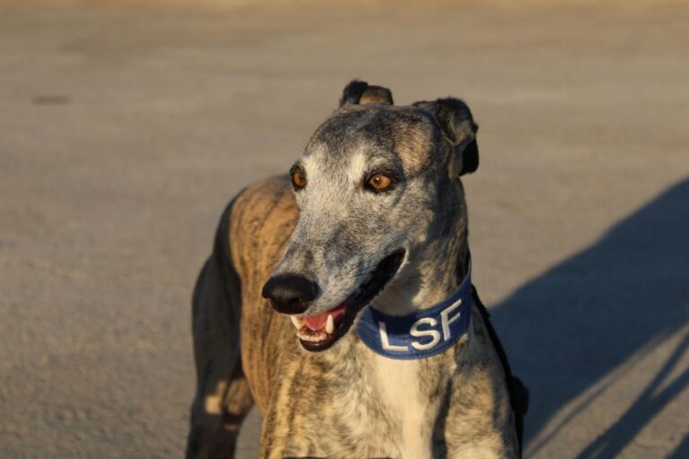 Lire la suite à propos de l’article Wifi (F) / FBM