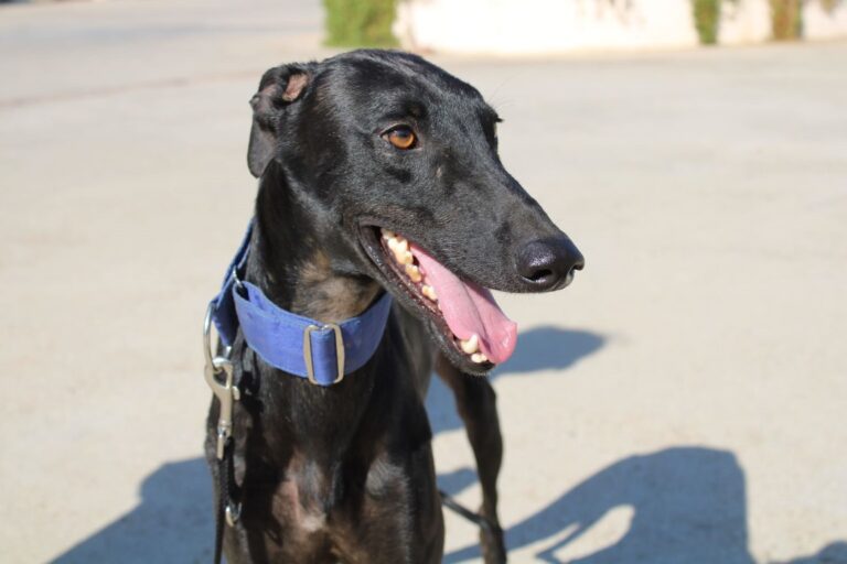 Lire la suite à propos de l’article Alix (M) / FBM