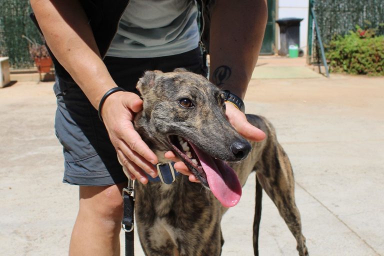 Lire la suite à propos de l’article Cherry (F) / FBM