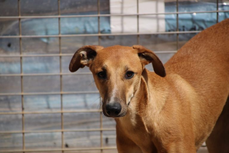 Lire la suite à propos de l’article Marcos (M) / FBM