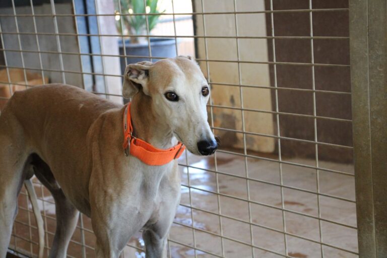 Lire la suite à propos de l’article Titus (M) / FBM